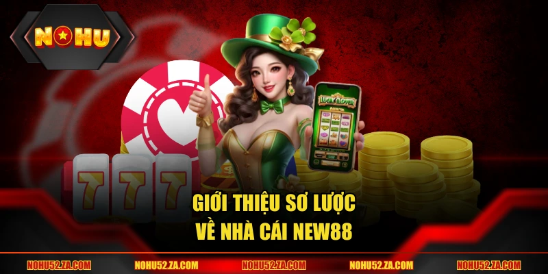 Giới thiệu sơ lược thông tin nhà cái new88